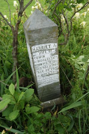 BIGGERSTAFF, HARRIET A.