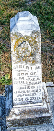 BOLLMAN, ALBERT M. - Taylor County, Iowa | ALBERT M. BOLLMAN 