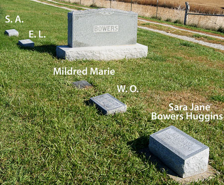 BOWERS, ELI LUARK, FAMILY PLOT - Taylor County, Iowa | ELI LUARK, FAMILY PLOT BOWERS 