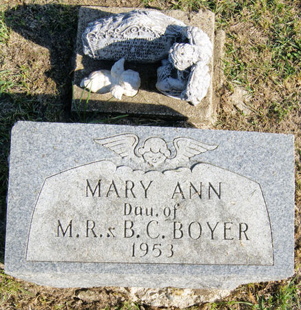 BOYER, MARY ANN - Taylor County, Iowa | MARY ANN BOYER 
