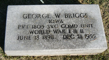 BRIGGS, GEORGE WESLEY - Taylor County, Iowa | GEORGE WESLEY BRIGGS 