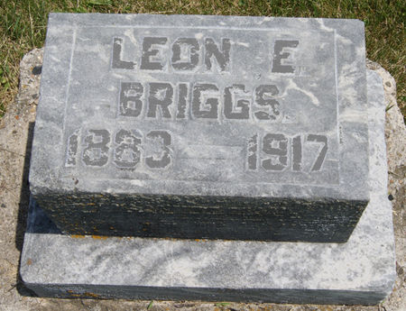 BRIGGS, LEON E. - Taylor County, Iowa | LEON E. BRIGGS 