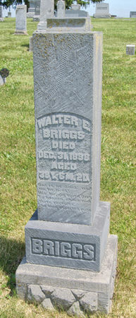 BRIGGS, WALTER E. - Taylor County, Iowa | WALTER E. BRIGGS 