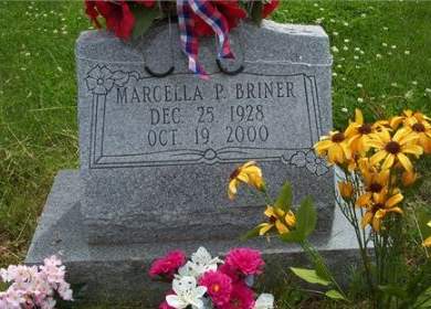 BROWN BRINER, MARCELLA P - Taylor County, Iowa | MARCELLA P BROWN BRINER 