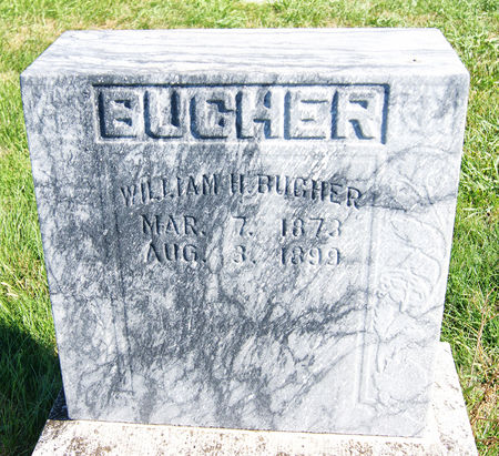 BUCHER, WILLIAM HARRY - Taylor County, Iowa | WILLIAM HARRY BUCHER 