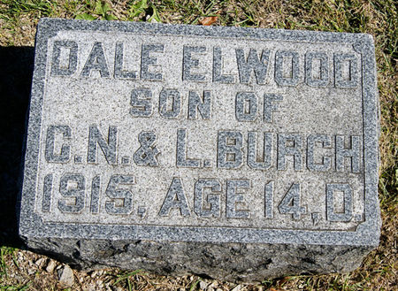 BURCH, DALE ELWOOD - Taylor County, Iowa | DALE ELWOOD BURCH 