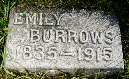 JOHNSON BURROWS, EMILY - Taylor County, Iowa | EMILY JOHNSON BURROWS 
