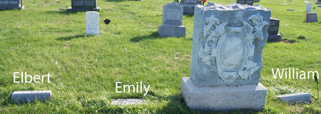 BURROWS, WILLIAM M., FAMILY PLOT OF - Taylor County, Iowa | WILLIAM M., FAMILY PLOT OF BURROWS 