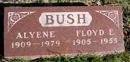 POSTEN BUSH, MARY ALYENE - Taylor County, Iowa | MARY ALYENE POSTEN BUSH 