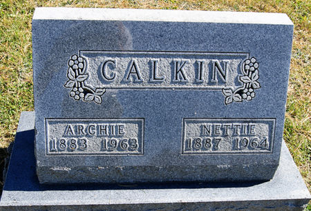 CALKIN, NETTIE ADA - Taylor County, Iowa | NETTIE ADA CALKIN 