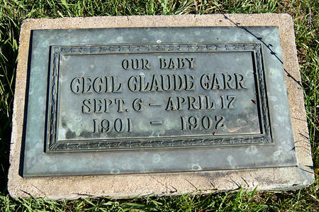 CARR, CECIL CLAUDE - Taylor County, Iowa | CECIL CLAUDE CARR 