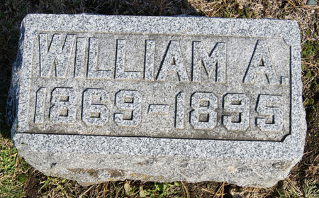 CARR, WILLIAM AUSTIN - Taylor County, Iowa | WILLIAM AUSTIN CARR 