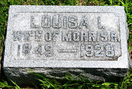 WEBSTER CHANDLER, LOUISA ISABELLE - Taylor County, Iowa | LOUISA ISABELLE WEBSTER CHANDLER 