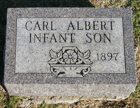 CHRISTIANSON, CARL ALBERT - Taylor County, Iowa | CARL ALBERT CHRISTIANSON 