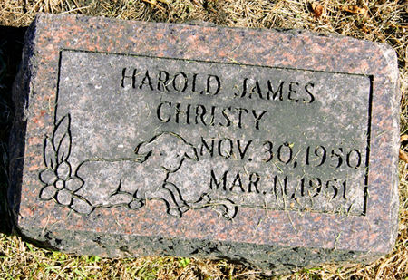 CHRISTY, HAROLD JAMES - Taylor County, Iowa | HAROLD JAMES CHRISTY 