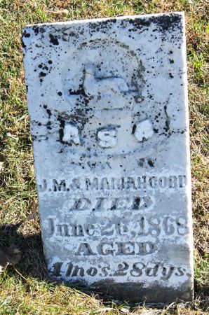 COBB, ASA - Taylor County, Iowa | ASA COBB 