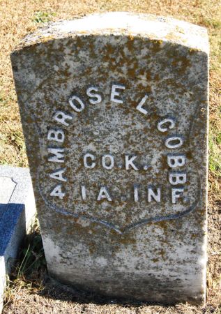 COBB, AMBROSE LAMBERT - Taylor County, Iowa | AMBROSE LAMBERT COBB 