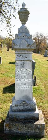 COBB, ELIZABETH ANN - Taylor County, Iowa | ELIZABETH ANN COBB 