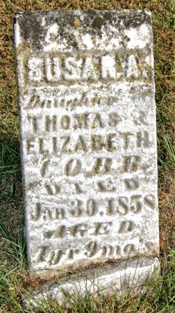 COBB, SUSAN ALICE - Taylor County, Iowa | SUSAN ALICE COBB 