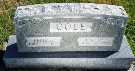 HASTINGS COLE, EFFIE CAPTOLA - Taylor County, Iowa | EFFIE CAPTOLA HASTINGS COLE 