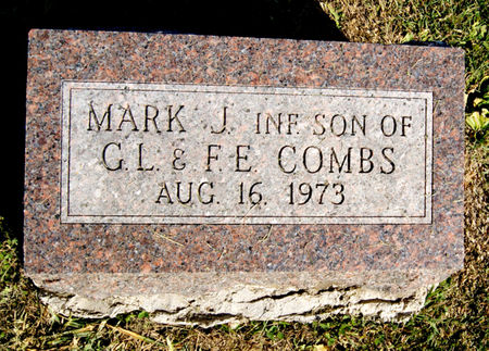COMBS, MARK JEFFREY - Taylor County, Iowa | MARK JEFFREY COMBS 