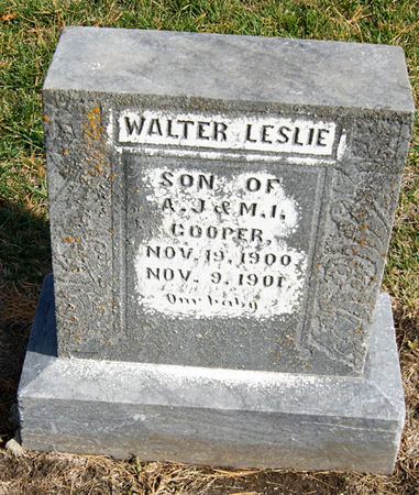 COOPER, WALTER LESLIE - Taylor County, Iowa | WALTER LESLIE COOPER 