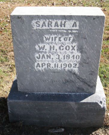 COX, SARAH ANN - Taylor County, Iowa | SARAH ANN COX 