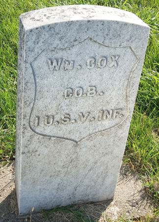 COX, WILLIAM - Taylor County, Iowa | WILLIAM COX 