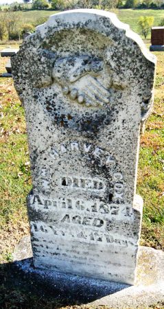 COX, WILLIAM HARVEY - Taylor County, Iowa | WILLIAM HARVEY COX 