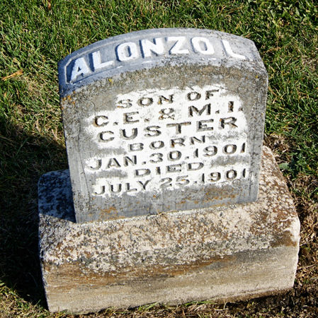 CUSTER, ALONZO LAWRENCE - Taylor County, Iowa | ALONZO LAWRENCE CUSTER 