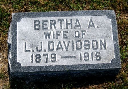 DAVIDSON, BERTHA AMANDA - Taylor County, Iowa | BERTHA AMANDA DAVIDSON 