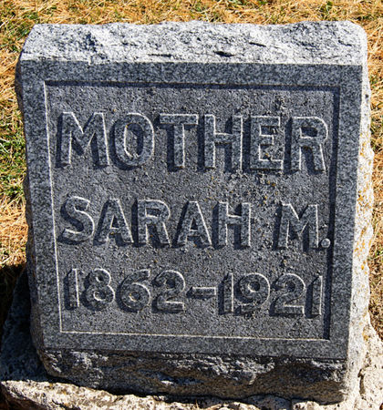 PLUMMER DOTTS, SARAH M. - Taylor County, Iowa | SARAH M. PLUMMER DOTTS 