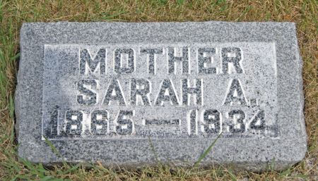 DOWLIN, SARAH ANN - Taylor County, Iowa | SARAH ANN DOWLIN 