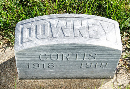 DOWNEY, CURTIS WILLIAM - Taylor County, Iowa | CURTIS WILLIAM DOWNEY 