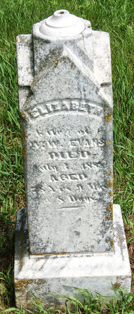 LEWIS EVANS, ELIZABETH - Taylor County, Iowa | ELIZABETH LEWIS EVANS 