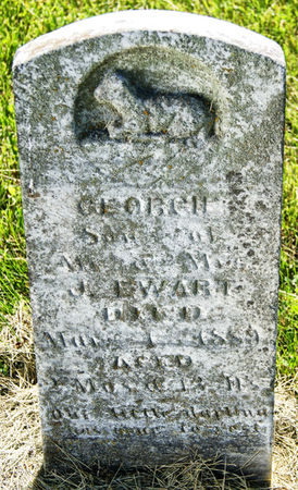 EWART, GEORGIE - Taylor County, Iowa | GEORGIE EWART 