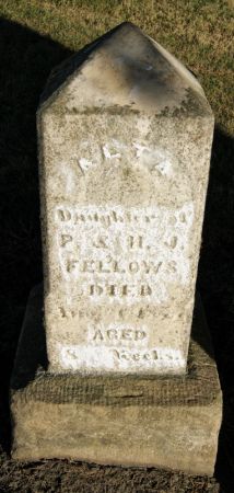 FELLOWS, ALTA - Taylor County, Iowa | ALTA FELLOWS 