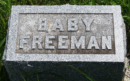 FREEMAN, ROY - Taylor County, Iowa | ROY FREEMAN 