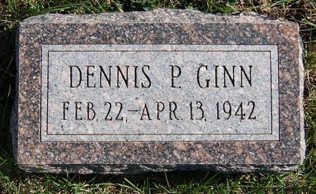 GINN, DENNIS PAUL - Taylor County, Iowa | DENNIS PAUL GINN 