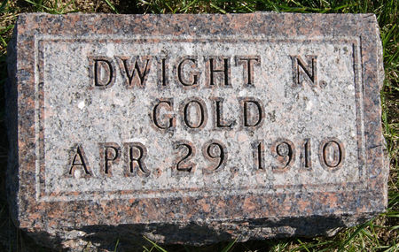 GOLD, DWIGHT N. - Taylor County, Iowa | DWIGHT N. GOLD 