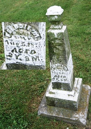 GREESON, FREDDIE M. - Taylor County, Iowa | FREDDIE M. GREESON 