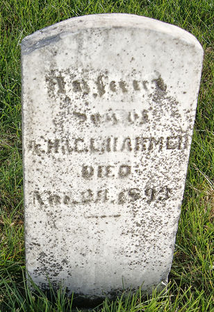 HARMER, ALBERT HENRY, INFANT SON OF - Taylor County, Iowa | ALBERT HENRY, INFANT SON OF HARMER 
