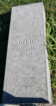 ALLOWAY HEATON, ELIZABETH ANGELINE - Taylor County, Iowa | ELIZABETH ANGELINE ALLOWAY HEATON 