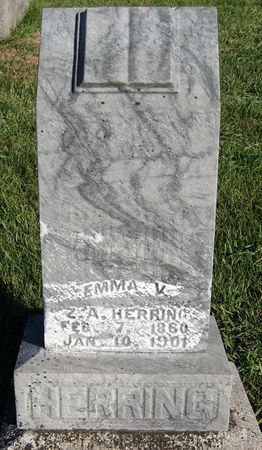 DAVIS HERRING, EMMA V. - Taylor County, Iowa | EMMA V. DAVIS HERRING 