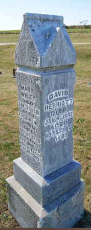 HERRIOTT, DAVID - Taylor County, Iowa | DAVID HERRIOTT 