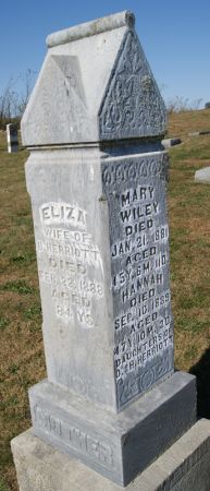 WILEY, MARY - Taylor County, Iowa | MARY WILEY 