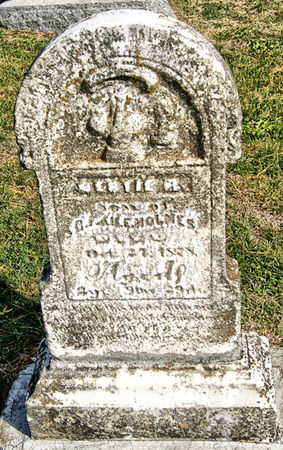 HOLMES, BERTIE ROSS - Taylor County, Iowa | BERTIE ROSS HOLMES 