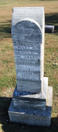 MCCOY JARED, MARY ANN - Taylor County, Iowa | MARY ANN MCCOY JARED 