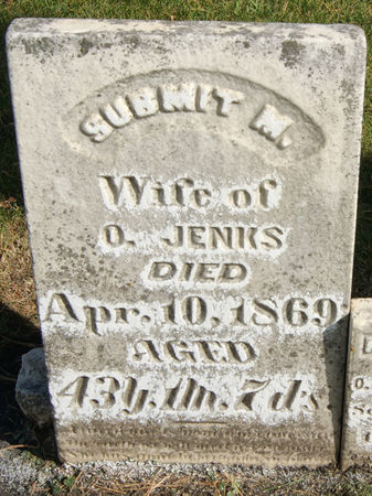 JENKS, SUBMIT M. - Taylor County, Iowa | SUBMIT M. JENKS 