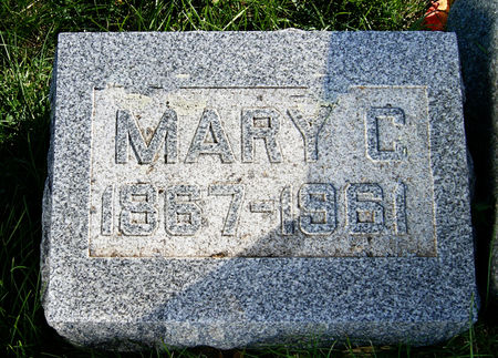 RICHARDSON JOHNSTON, MARY CATHERINE - Taylor County, Iowa | MARY CATHERINE RICHARDSON JOHNSTON 